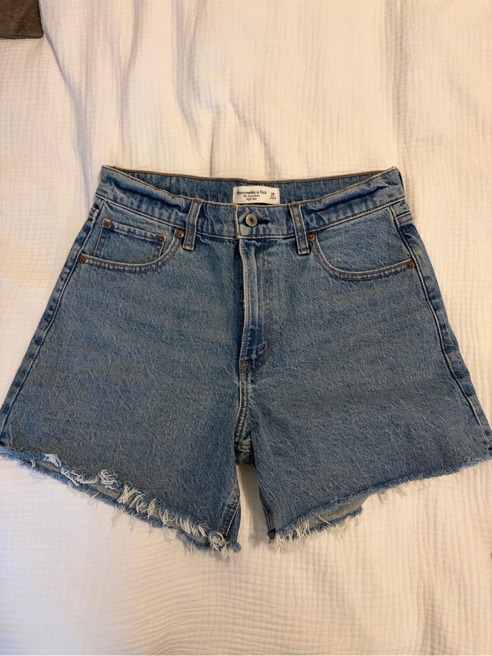 Abercrombie & Fitch Medium Blue The Dad Short